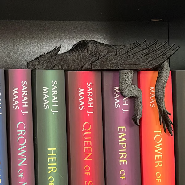 🐉 Sleeping Dragon Bookshelf Decor