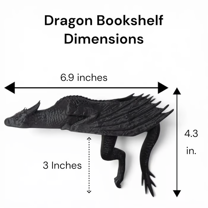 🐉 Sleeping Dragon Bookshelf Decor